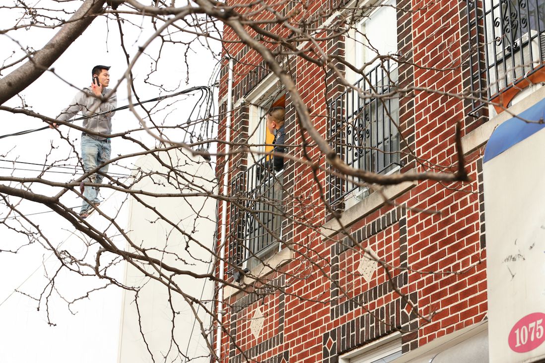 A police officer speaks to the man, who is on a tree branch while holding his phone to his ear.<br/>